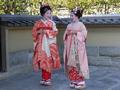 Geishas in Gion district