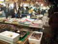 Tsukiji fish market