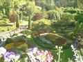 Butchart Gardens