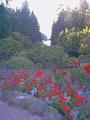 Butchart Gardens