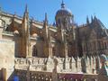 Catwalk Cathedral Salamanca