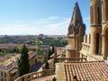 Catwalk Cathedral Salamanca