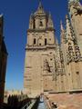 Catwalk Cathedral Salamanca