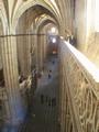 Catwalk Cathedral Salamanca