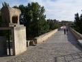 Roman Bridge Salamanca