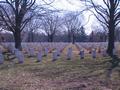Arlington Cementery